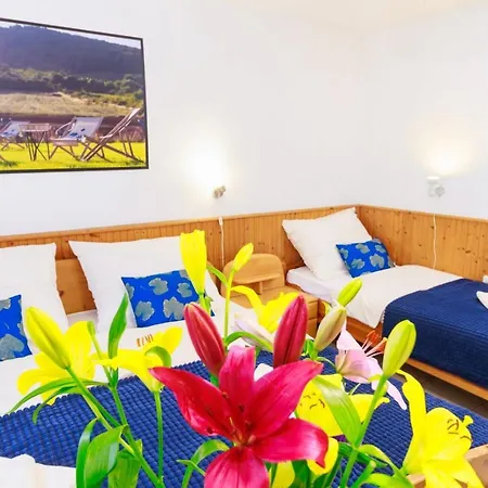 Retel Vitez Vendeghaz 3* Sarospatak