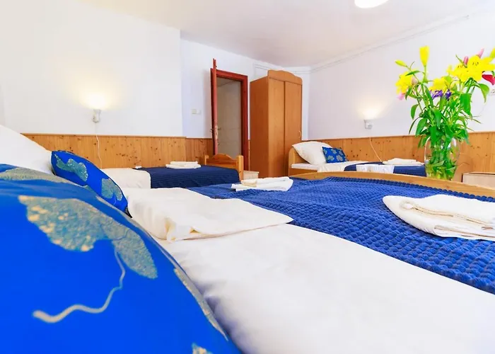 Retel Vitez Vendeghaz 3* Sárospatak