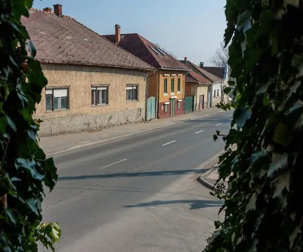Retel Vitez Vendeghaz 3* Sárospatak