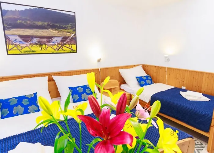 Retel Vitez Vendeghaz 3* Sárospatak