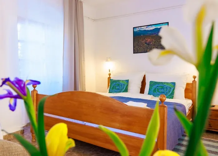 Retel Vitez Vendeghaz Πανσιόν Sárospatak