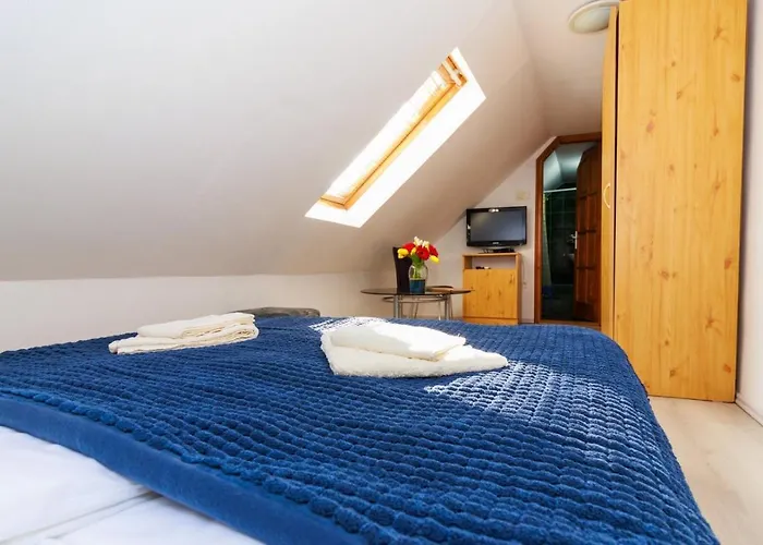 Retel Vitez Vendeghaz 3* Sárospatak